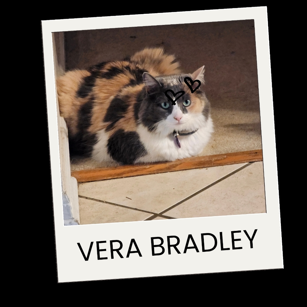 ALL Things Vera Bradley